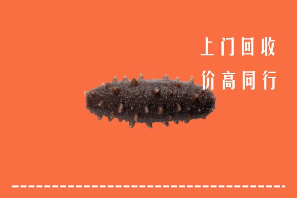 秦皇岛市回收海参