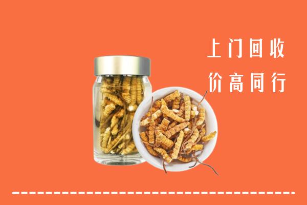 秦皇岛市回收冬虫夏草